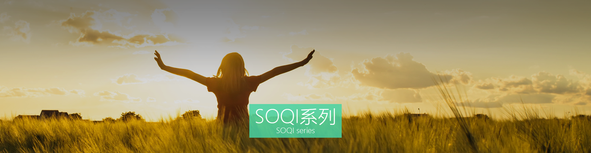 产品系列